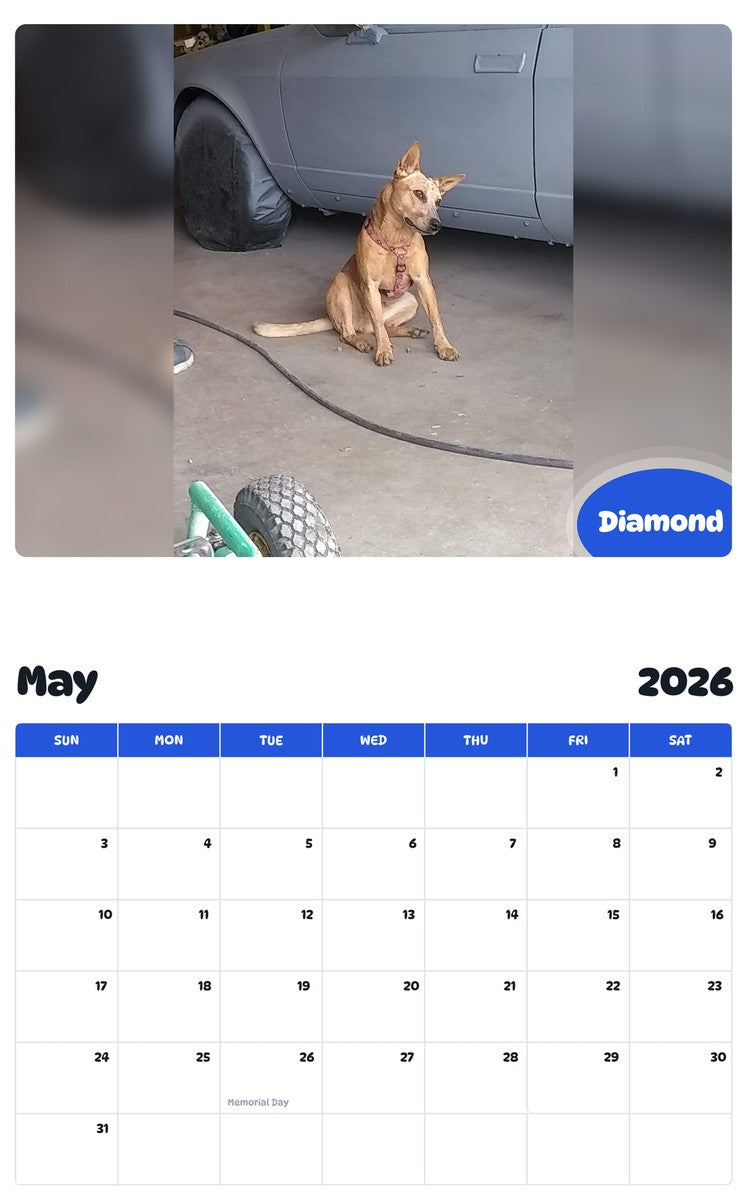 2026 - 2027 Diamond - Pawidols Pet Calendar