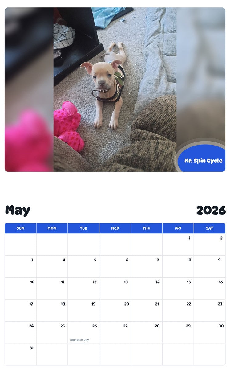 2026 - 2027 Mr. Spin Cycle - Pawidols Pet Calendar