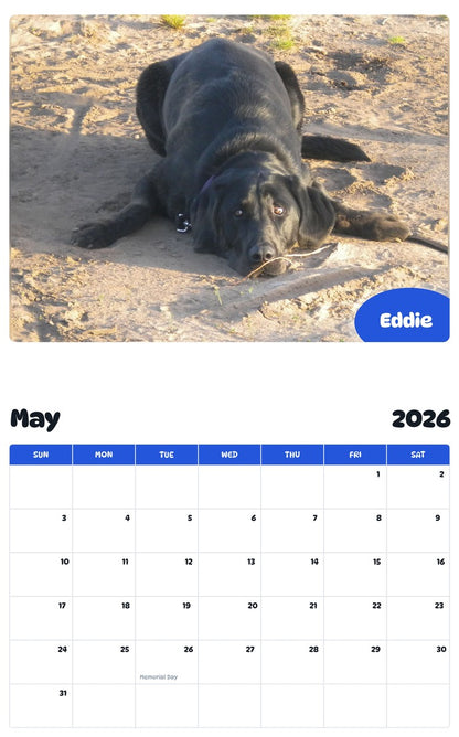 2026 - 2027 Eddie - Pawidols Pet Calendar