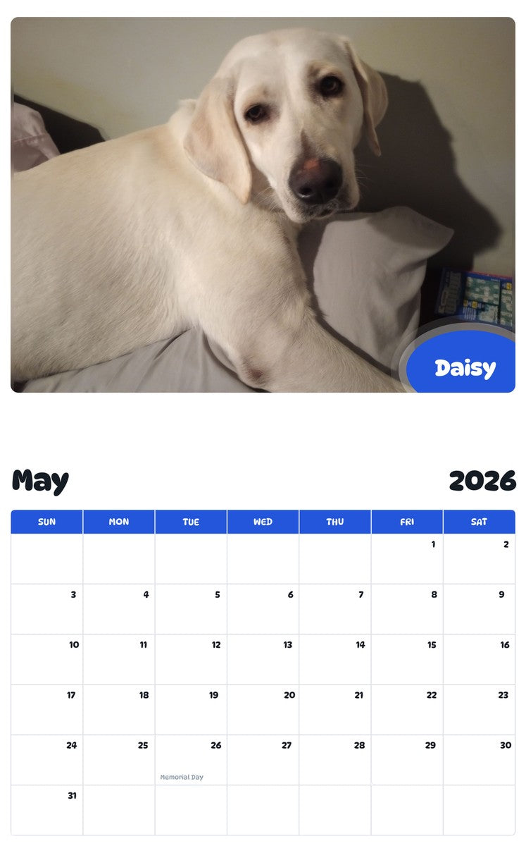 2026 - 2027 Daisy - Pawidols Pet Calendar