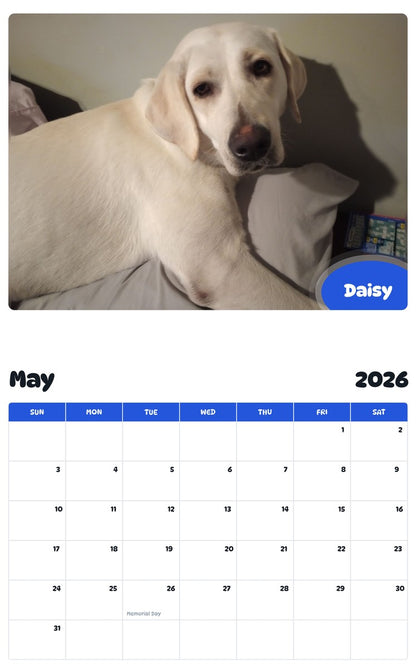 2026 - 2027 Daisy - Pawidols Pet Calendar