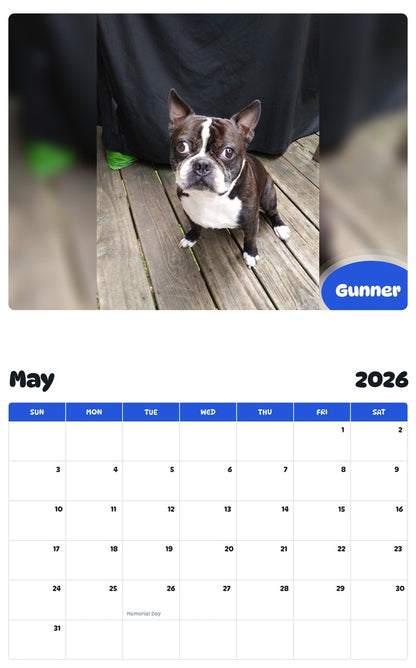 2026 - 2027 Gunner - Pawidols Pet Calendar