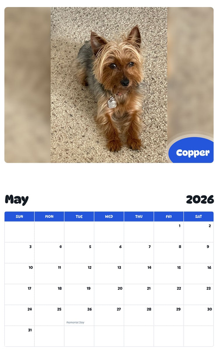 2026 - 2027 Copper - Pawidols Pet Calendar