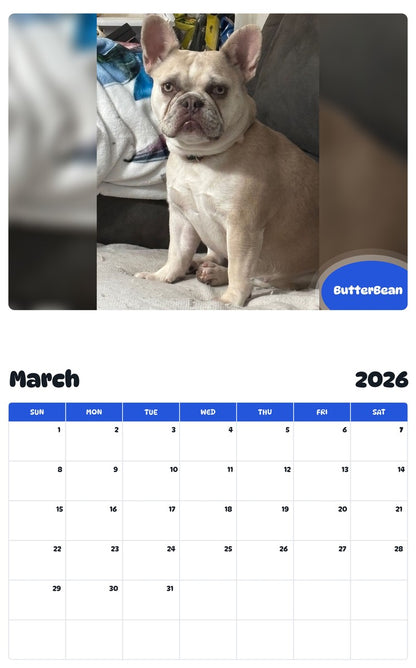 November 2025 - October 2026 ButterBean - Pawidols Pet Calendar