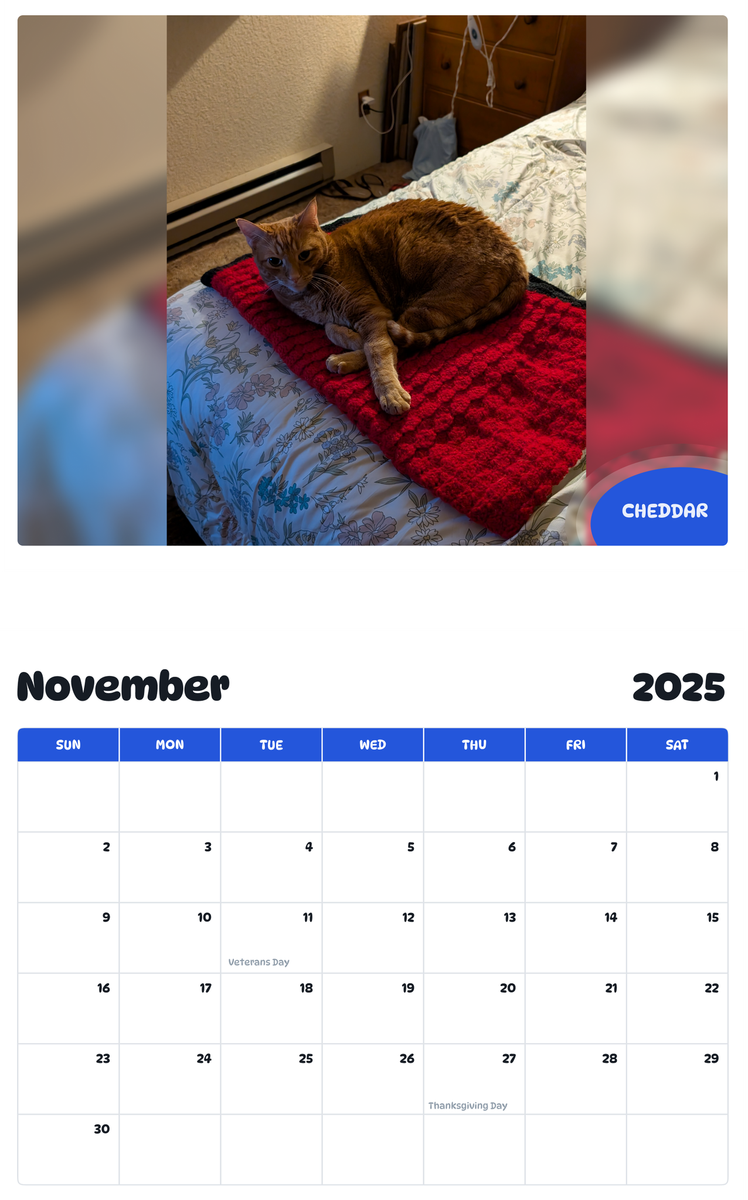 July 2025 - June 2026 Cheddar - Pawidols Pet Calendar