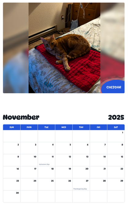 July 2025 - June 2026 Cheddar - Pawidols Pet Calendar