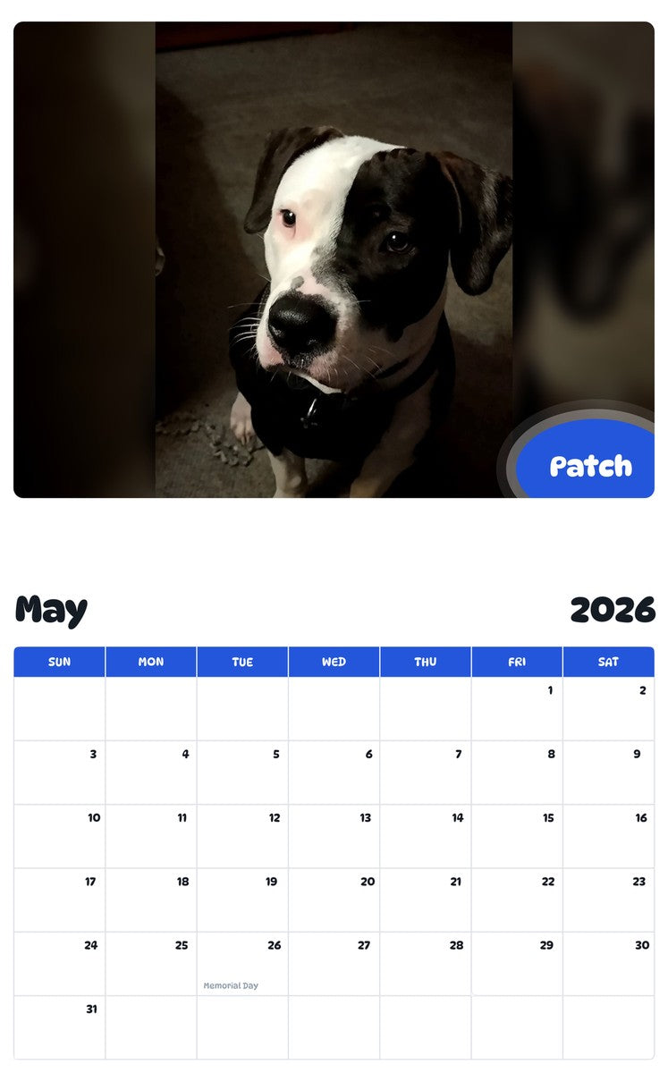2026 - 2027 Patch - Pawidols Pet Calendar