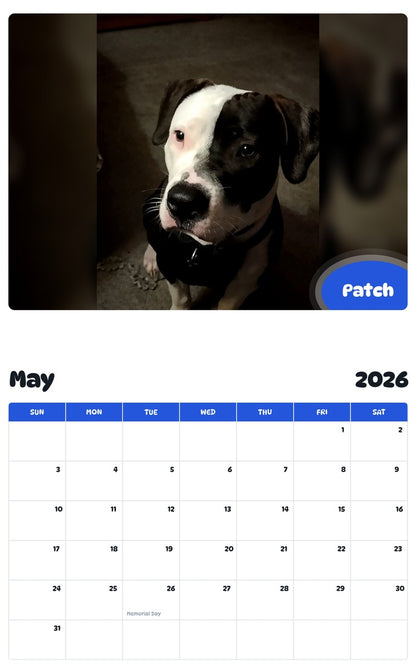 2026 - 2027 Patch - Pawidols Pet Calendar