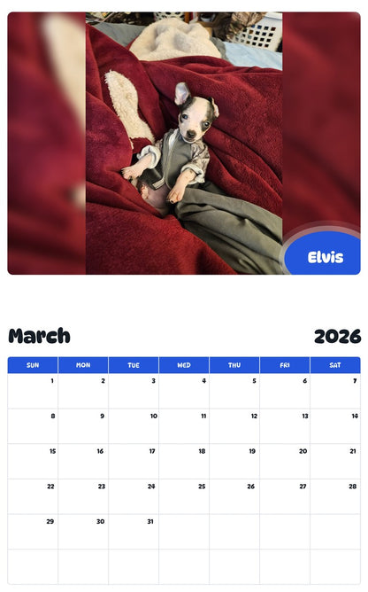 November 2025 - October 2026 Elvis - Pawidols Pet Calendar