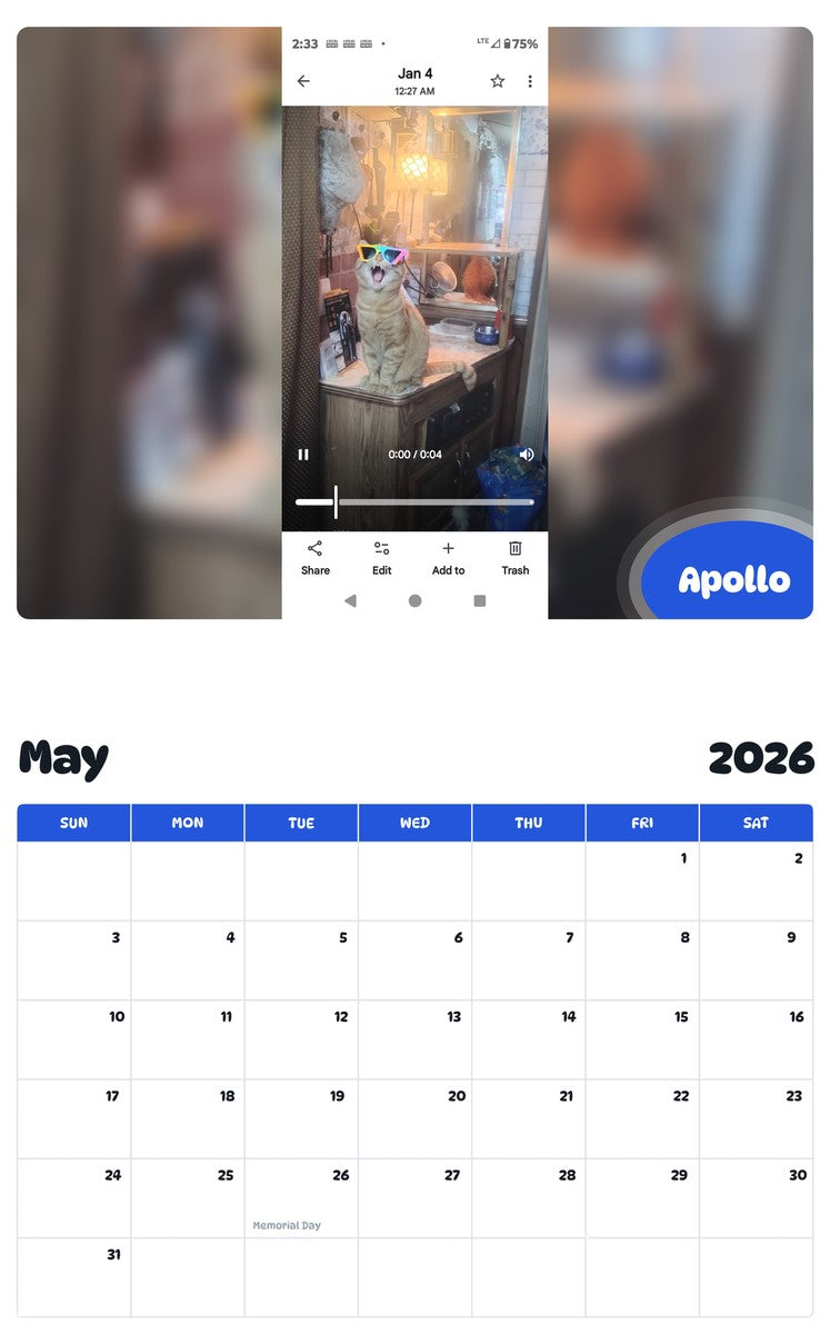 2026 - 2027 Apollo - Pawidols Pet Calendar