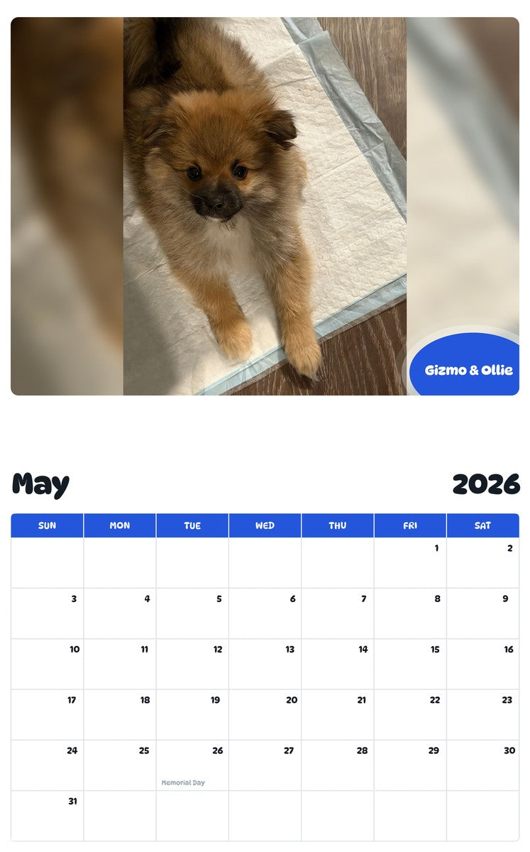 2026 - 2027 Gizmo & Ollie - Pawidols Pet Calendar