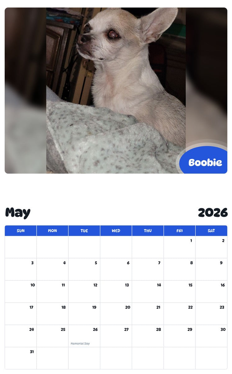 2026 - 2027 Boobie - Pawidols Pet Calendar