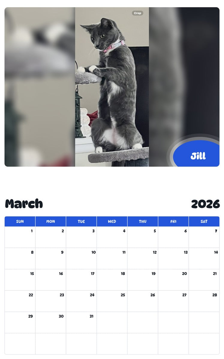 November 2025 - October 2026 Jill - Pawidols Pet Calendar