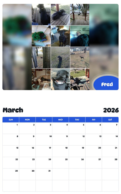 November 2025 - October 2026 Fred - Pawidols Pet Calendar