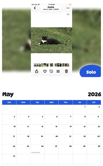 2026 - 2027 Solo - Pawidols Pet Calendar