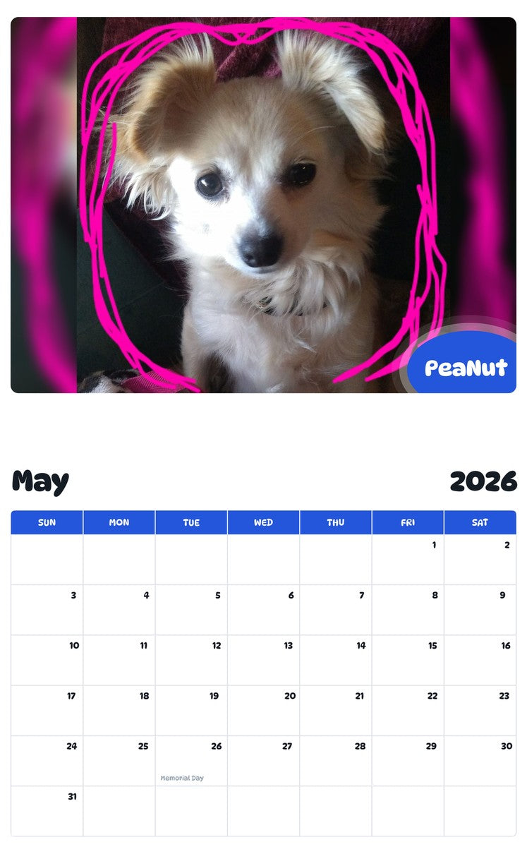 2026 - 2027 PeaNut - Pawidols Pet Calendar