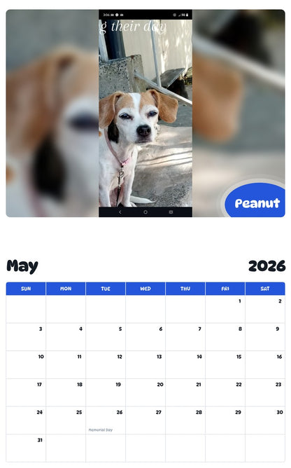 2026 - 2027 Peanut - Pawidols Pet Calendar