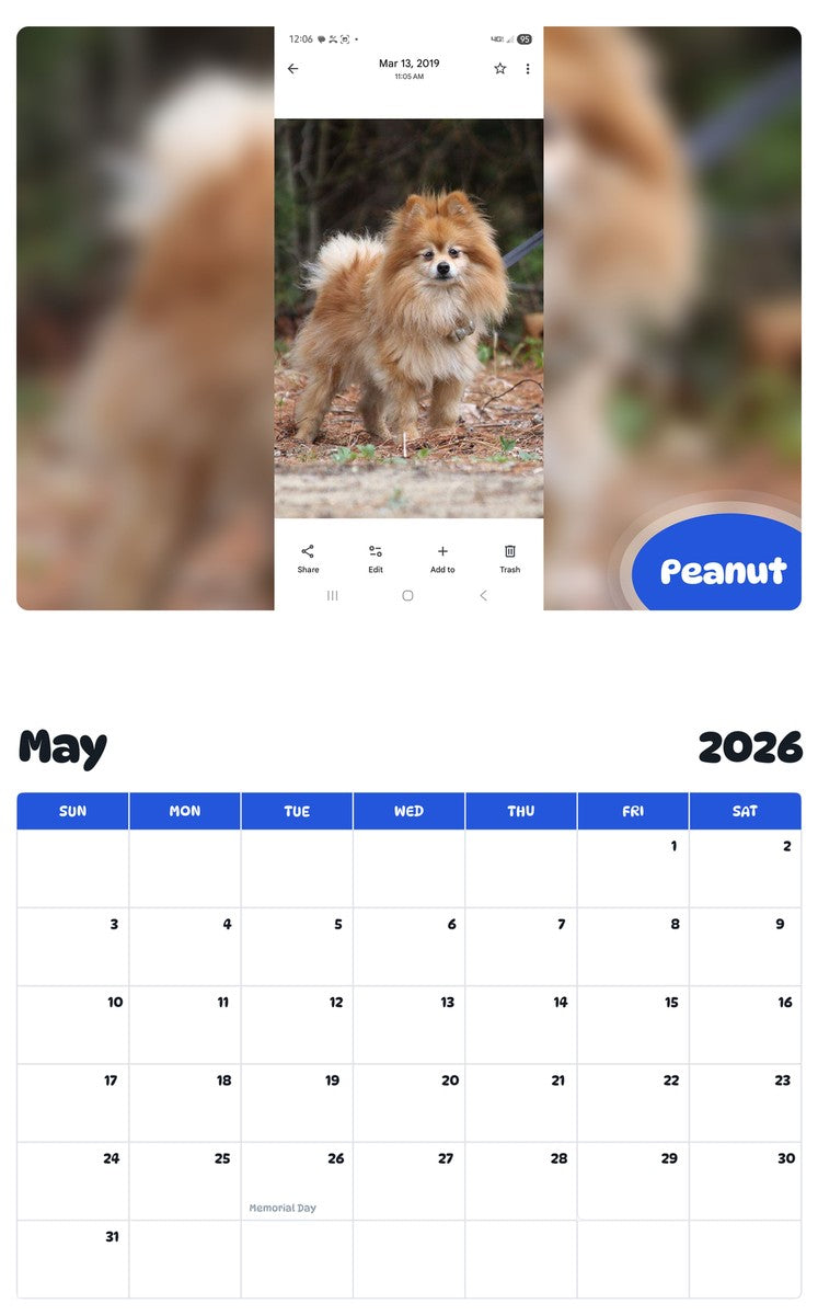 2026 - 2027 Peanut - Pawidols Pet Calendar