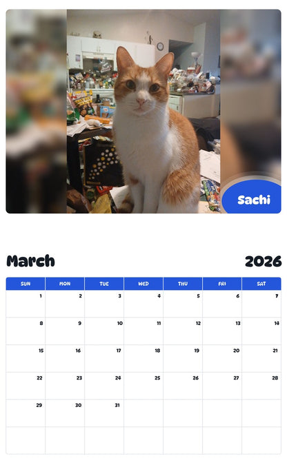 November 2025 - October 2026 Sachi - Pawidols Pet Calendar