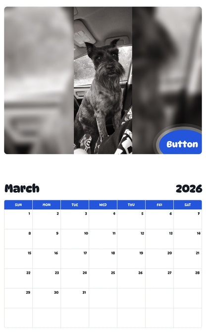 November 2025 - October 2026 Button - Pawidols Pet Calendar