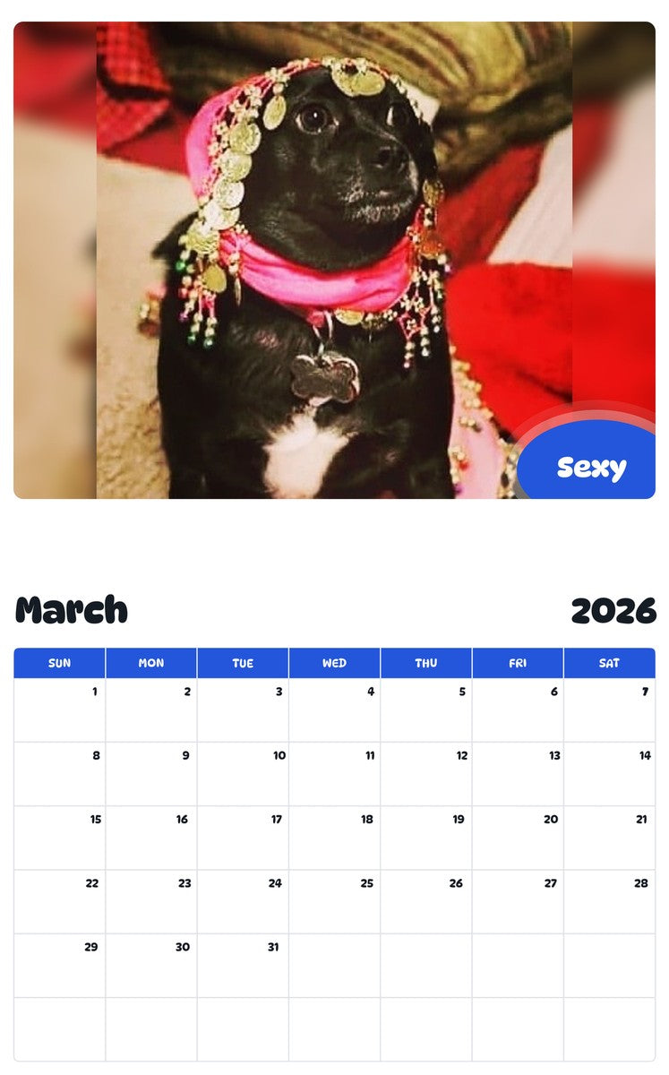 November 2025 - October 2026 Sexy - Pawidols Pet Calendar