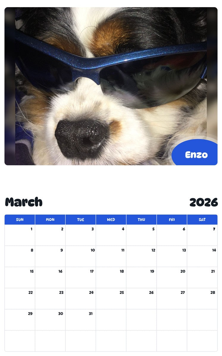 November 2025 - October 2026 Enzo - Pawidols Pet Calendar
