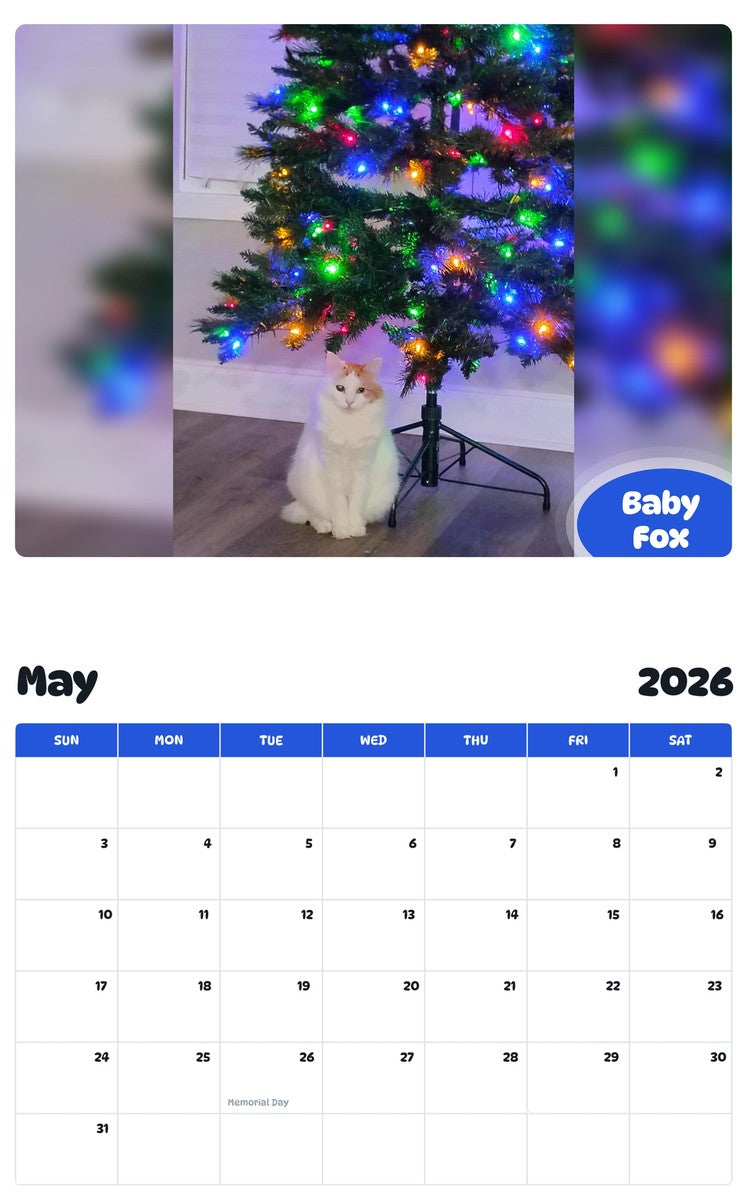 2026 - 2027 Baby Fox - Pawidols Pet Calendar