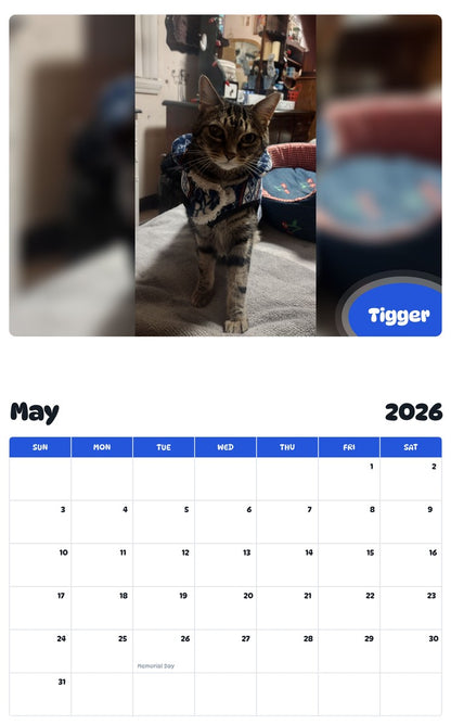2026 - 2027 Tigger - Pawidols Pet Calendar