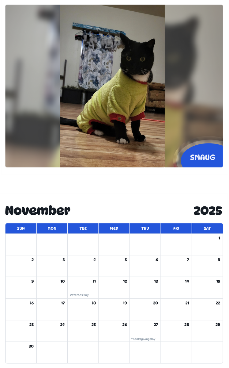 July 2025 - June 2026 Smaug - Pawidols Pet Calendar