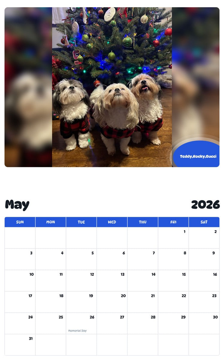 2026 - 2027 Teddy,Rocky,Gucci - Pawidols Pet Calendar