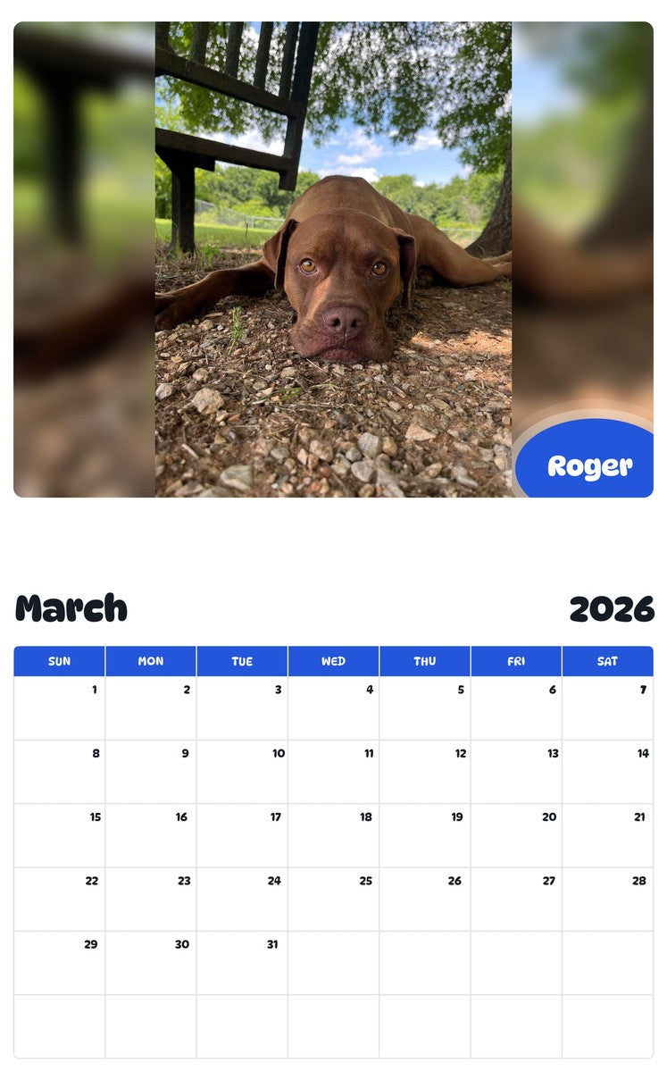 November 2025 - October 2026 Roger - Pawidols Pet Calendar