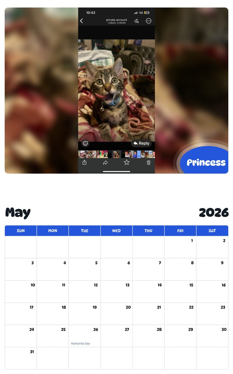 2026 - 2027 Princess - Pawidols Pet Calendar
