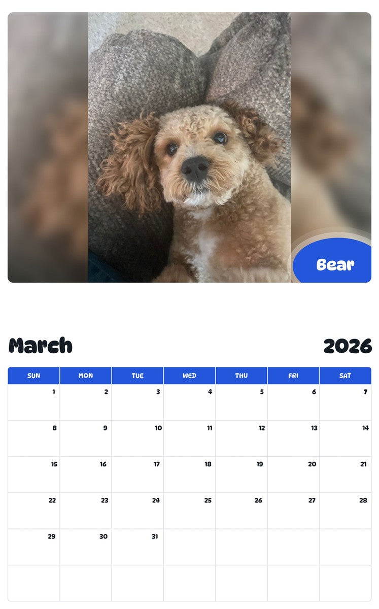 November 2025 - October 2026 Bear - Pawidols Pet Calendar