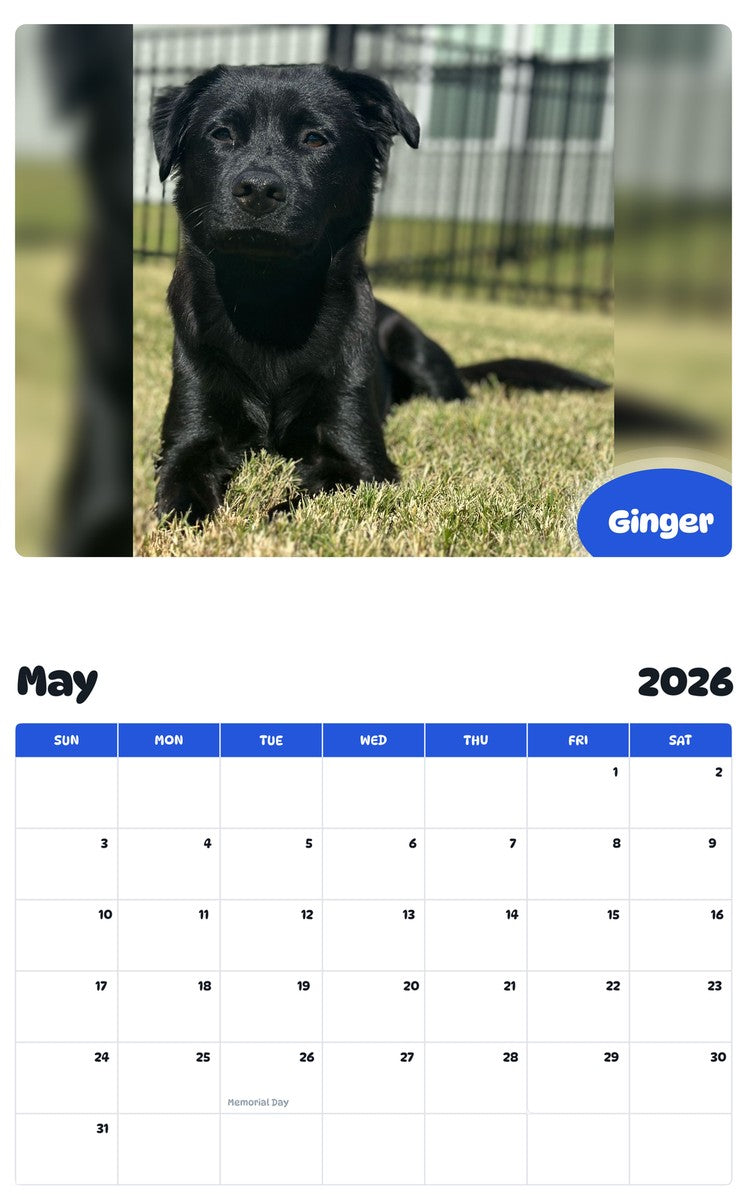 2026 - 2027 Ginger - Pawidols Pet Calendar