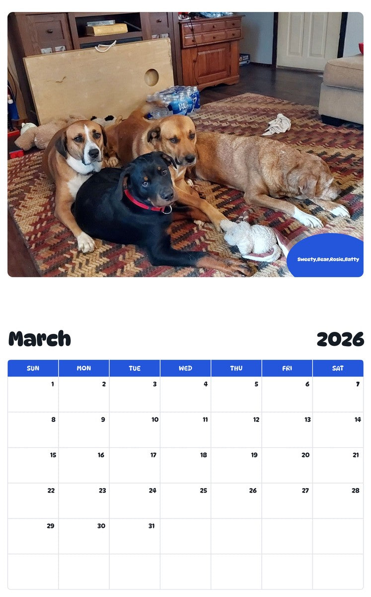 November 2025 - October 2026 Sweety,Bear,Rosie,Batty - Pawidols Pet Calendar