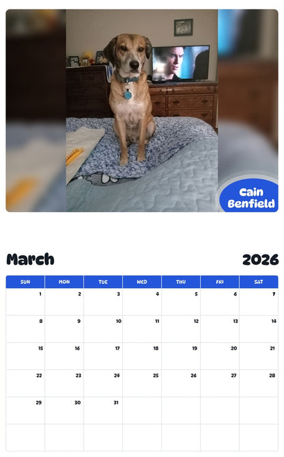November 2025 - October 2026 Cain Benfield - Pawidols Pet Calendar
