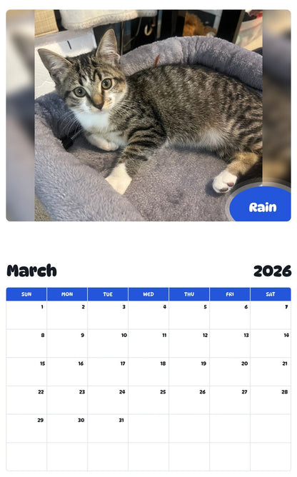 November 2025 - October 2026 Rain - Pawidols Pet Calendar