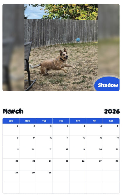 November 2025 - October 2026 Shadow - Pawidols Pet Calendar