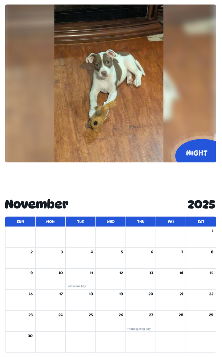 July 2025 - June 2026 Night - Pawidols Pet Calendar