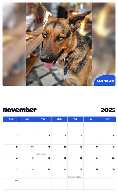 July 2025 - June 2026 Sam Miller - Pawidols Pet Calendar