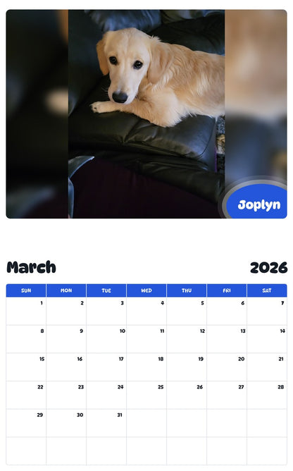 November 2025 - October 2026 Joplyn - Pawidols Pet Calendar