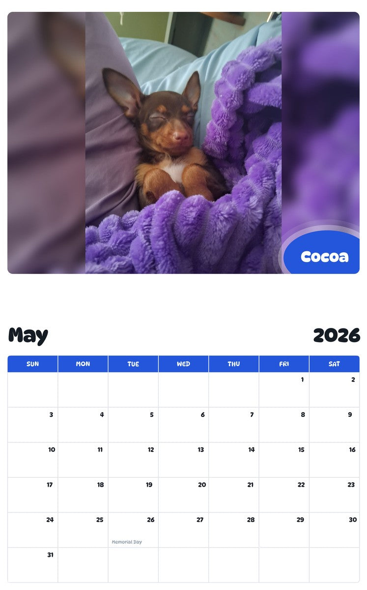 2026 - 2027 Cocoa - Pawidols Pet Calendar