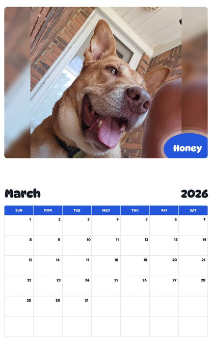 November 2025 - October 2026 Honey - Pawidols Pet Calendar