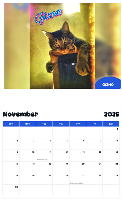 July 2025 - June 2026 Gizmo - Pawidols Pet Calendar