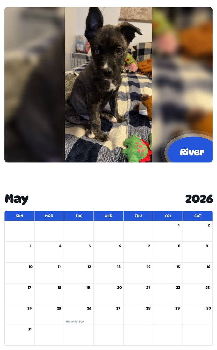 2026 - 2027 River - Pawidols Pet Calendar