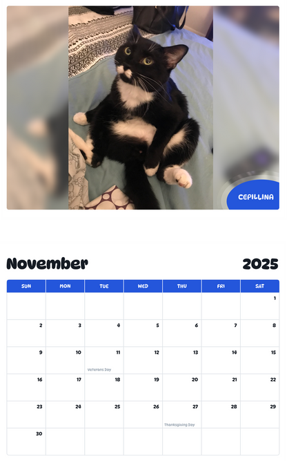 July 2025 - June 2026 Cepillina - Pawidols Pet Calendar