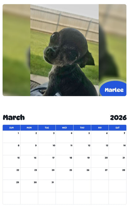 November 2025 - October 2026 Marlee - Pawidols Pet Calendar