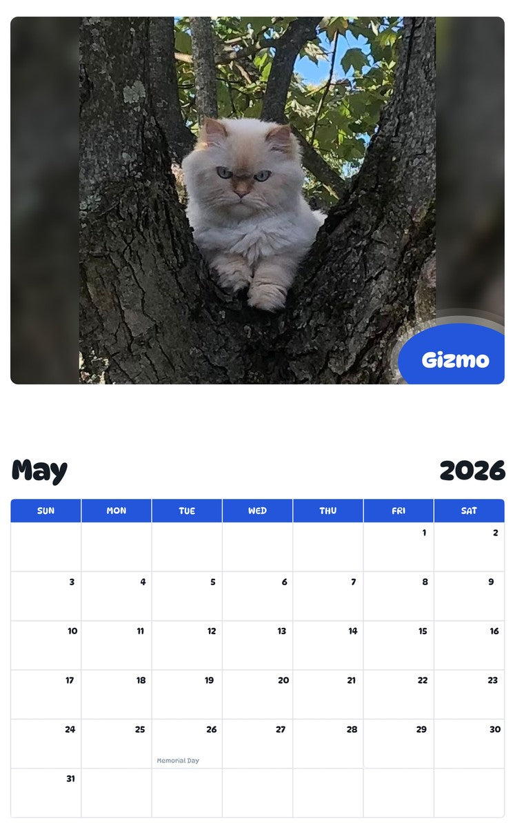 2026 - 2027 Gizmo - Pawidols Pet Calendar