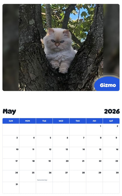 2026 - 2027 Gizmo - Pawidols Pet Calendar