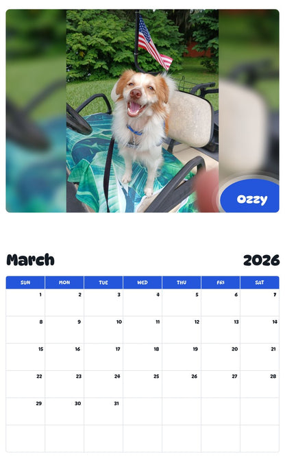 November 2025 - October 2026 Ozzy - Pawidols Pet Calendar